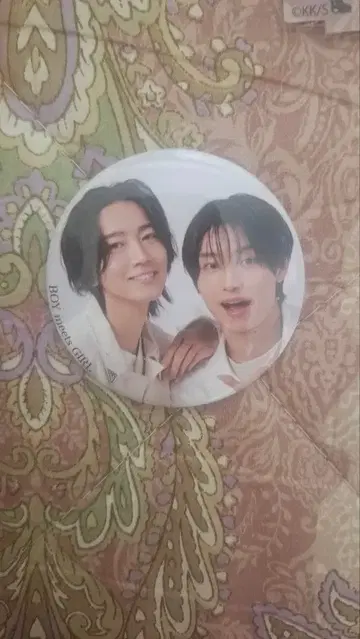 7ORDER BOY meets GIRL 캔뱃지 시크릿 아라레오