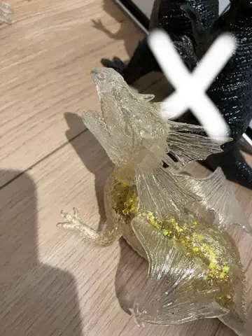 공룡 vs 드래곤 앤드 코