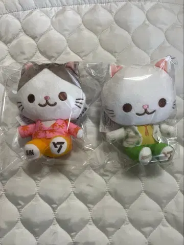 세븐틴 준 정한 봉제 인형 마스코트 SEGA