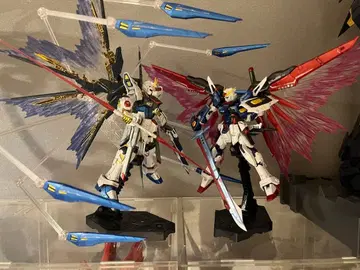 RG 스트라이크 프리덤 & 데스티니 건담 티타늄 피니쉬 세트