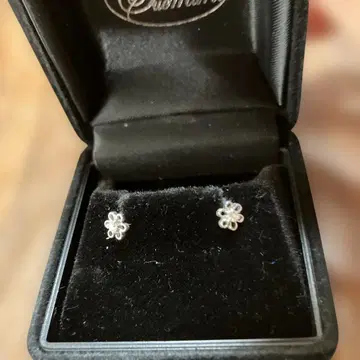 pt 다이아 귀걸이