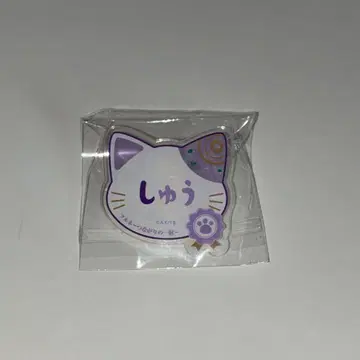 츠루네 난자타운 네임 배지 후지와라 슈
