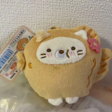 스미코구라시 모두 함께 느긋한 화과자 여행 화과자 봉제 인형 고양이