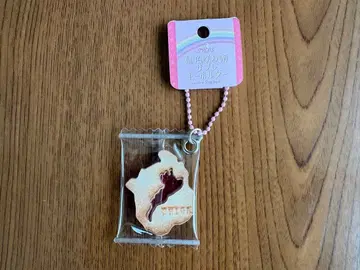 TROIS 레인보우 컬러 비와코 사브레 키링 핑크