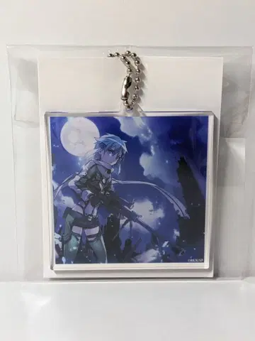 소드 아트 온라인 SAO 풀다이브 CD 아크릴 참 시논