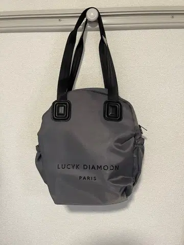LUCYK DIAMODN PARIS 그레이 백팩 백