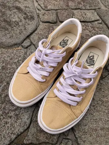 VANS 베이지 로우컷 스니커즈