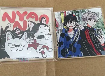 바닷가의 에트랑제 봄바람의 에트랑제 키이 칸나 아크릴 코스터