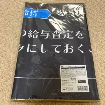 캡슐 복권 역전재판 메모리 오브 검사 미츠루기 레이지 타월