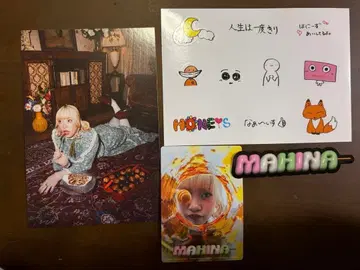 HANA moment box MAHINA 4세트