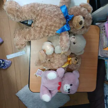 곰 봉제 인형 4체 세트