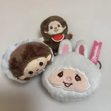 몽치치 묶음 판매