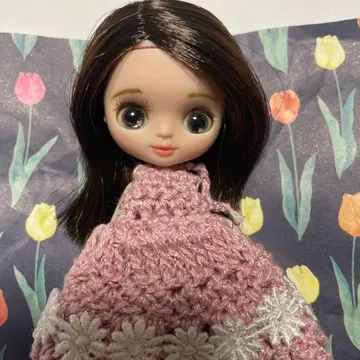 미니 브라이스 커스텀