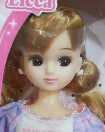 타카라토미 LD-07 완냥 반려동물 시터 리카짱