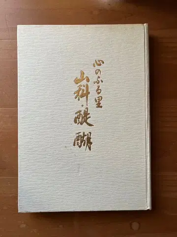 마음의 고향 야마시나 다이코