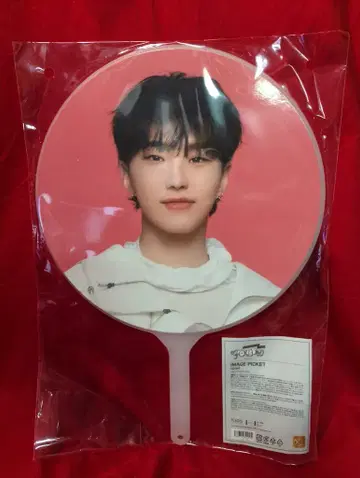 세븐틴 2024 팔로우 어게인 투 재팬 호시 이미지 피켓