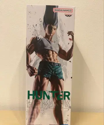 헌터헌터 HUNTER x HUNTER 곤 피규어