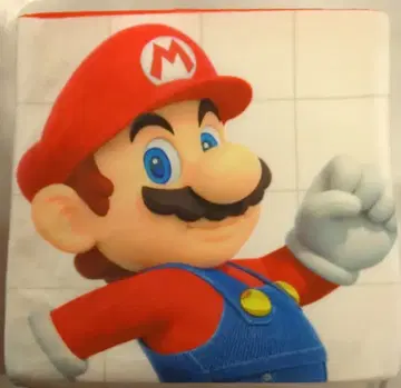 닌텐도 Nintendo KYOTO 쿠션