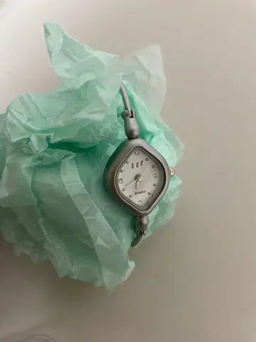 eeespace 2 다이아 워치