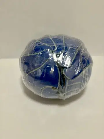 생물대도감 어드밴스 공벌레 이리도 공벌레