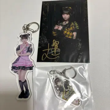 iON! 밤 쿠리스 무기 아크링 키링 크라우드 펀딩 브로마이드