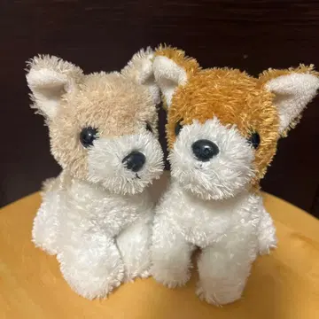 강아지 봉제 인형 세트