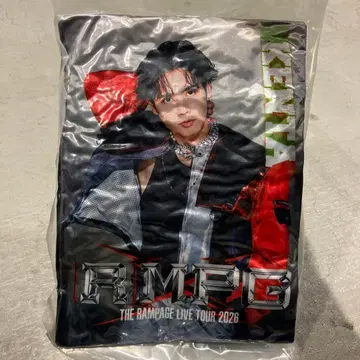 메루카리 택배! 즉시 구매 RAMPAGE 카미야 켄타 쿠션!