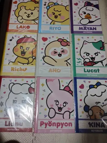 Nizoo 노트 컴프 세트