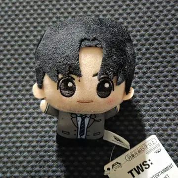 TWS PLEDIS plot twist SD 인형 HANJIN