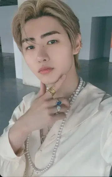 ENHYPEN 정해진 SUNGHOON 트레이딩 카드 WILL