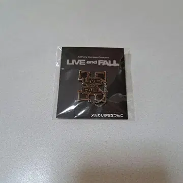 Xdinary Heroes LIVE and FALL 핀 배지