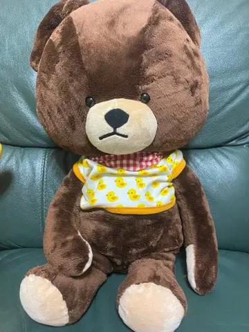 레트로 세키구치 곰 학교 재키 BIG 봉제 인형