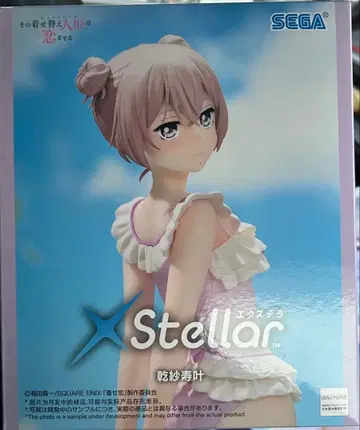 그 비스크 돌은 사랑을 한다 이누이 사쥬 카나 피규어