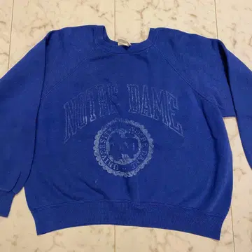 바셋 워커 BW 로고 맨투맨 파랑