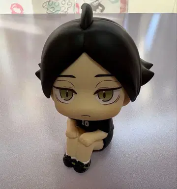 하이큐 룩업 스나 린타로