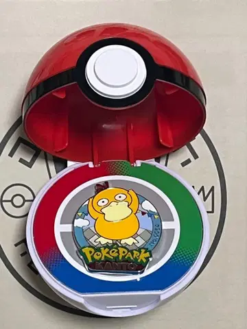 포케파크 관동 핀즈 배지 코닥