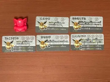 플라콜로 이브이