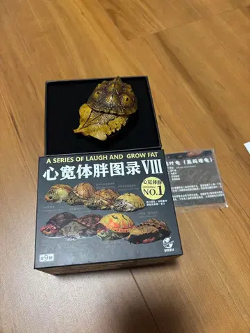 동물의 혹성 거북 블랙마타마타