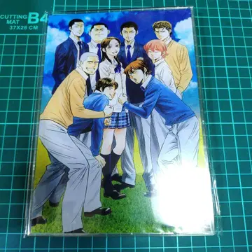 다이아의 A 모리 스크래치 아크릴 보드 잔디밭 1점 2