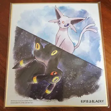 [ 미개봉 ] 포켓몬 색지 아트 블래키 에브이