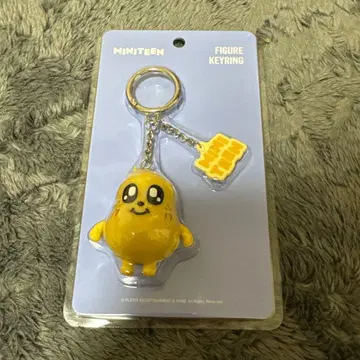 민규 미니틴