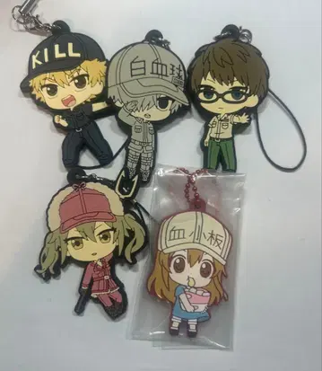 일하는 세포 킬러 T세포 백혈구 호산구 혈소판 헬퍼 러버 스트랩