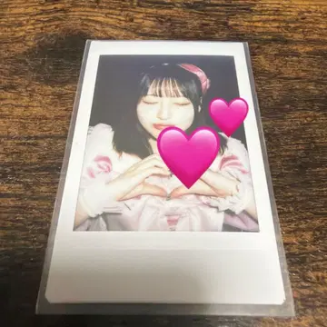 사쿠라바 하루카 폴라로이드 촬영