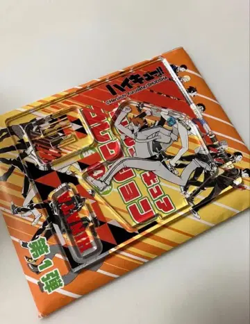 하이큐 아크릴 피규어 컬렉션 히나타 카라스노 아크피