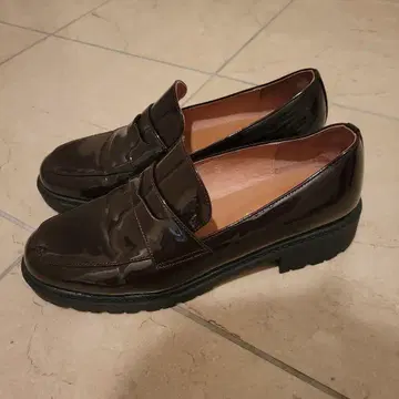 오리엔탈 트래픽 로퍼 바야코