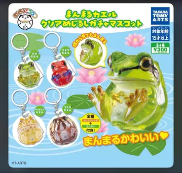 만마루쨩 개구리 클리어 메지루시 가챠 마스코트 컴플리트 세트