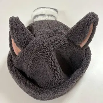 디즈니 팬캡 너구리