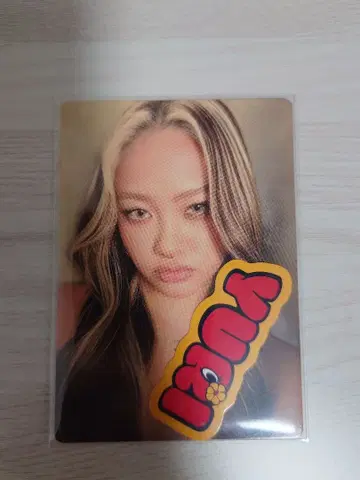 HANA HANAwithHONEY YURI 포토 카드