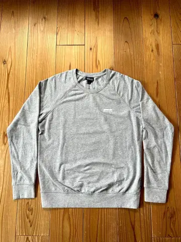 patagonia 오가닉 코튼 트레이닝복 M 그레이