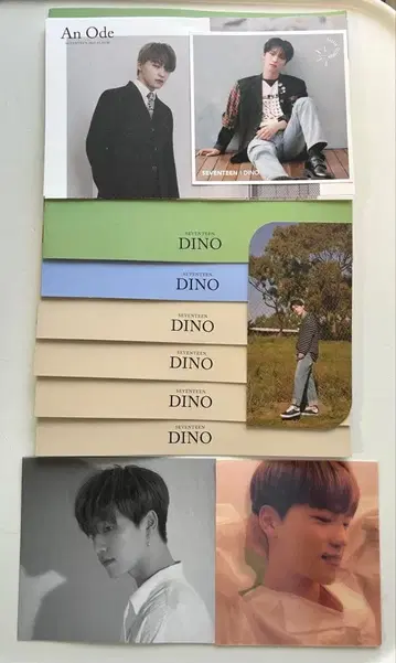 An Ode Dino 포토 카드 8장 세트